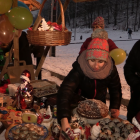 zdjęcie nr 8