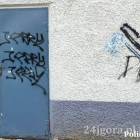Fotka nr 0 z 3
