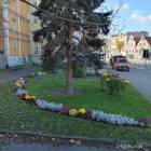 zdjęcie nr 13