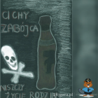 Fotka nr 4 z 11