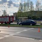 Fotka nr 5 z 18