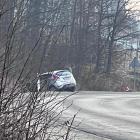 Fotka nr 4 z 6