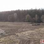 zdjęcie nr 41