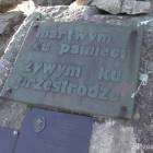 zdjęcie nr 7