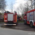 Fotka nr 2 z 13