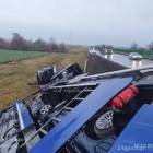 Fotka nr 2 z 15