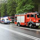 Fotka nr 4 z 12