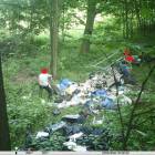 Fotka nr 3 z 7
