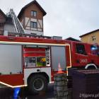 Fotka nr 2 z 11