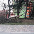 zdjęcie nr 17