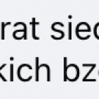 Fotka nr 3 z 5