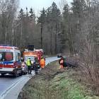 zdjęcie nr 3