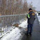 fot. Straż Miejska Jelenia Góra