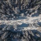 fot. Bieg Piastów