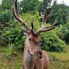 zdjęcie nr 41