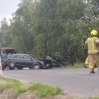 zdjęcie nr 12