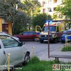 Fotka nr 1 z 3