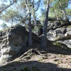 zdjęcie nr 38
