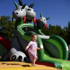 fot. MultiFun
