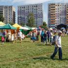 zdjęcie nr 26