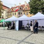 Fotka nr 3 z 10