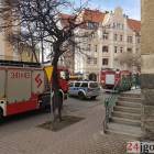 Fotka nr 1 z 8