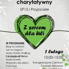 zdjęcie nr 2