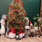 Dorota Zając