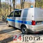 Fotka nr 4 z 11