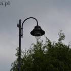 zdjęcie nr 7