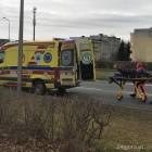 Fotka nr 3 z 12
