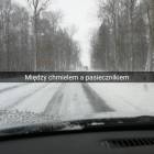 zdjęcie nr 11