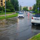 zdjęcie nr 15