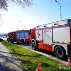 Fotka nr 1 z 16