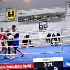 zdjęcie nr 12