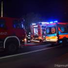 Fotka nr 2 z 15
