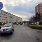 fot. Straż Miejska Jelenia Góra
