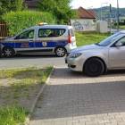 Fotka nr 2 z 3