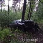 Fotka nr 3 z 4