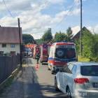 zdjęcie nr 8