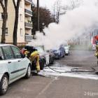 zdjęcie nr 9