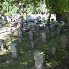 zdjęcie nr 14