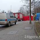 Fotka nr 2 z 4