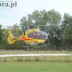Fotka nr 5 z 8