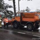 zdjęcie nr 9