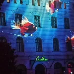 Zdjęcie: Jelenia Góra wiadomości Portal informacyjny powiatu miasta 24jgora