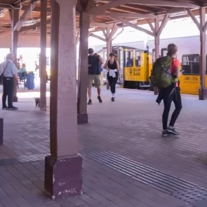Zdjęcie: Jelenia Góra wiadomości Portal informacyjny powiatu miasta 24jgora