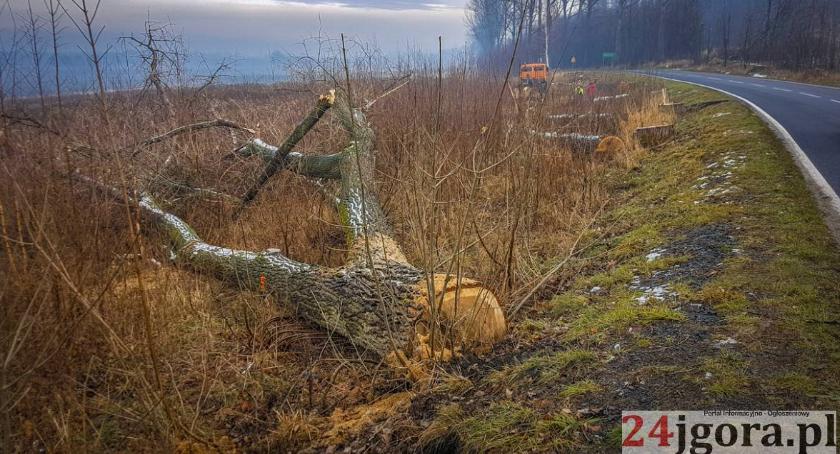 Zdjęcie: Jelenia Góra wiadomości Portal informacyjny powiatu miasta 24jgora