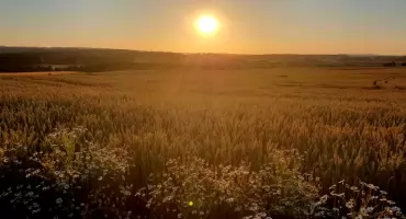 Światełko - Anna Chciuk, autorka z Łomnicy