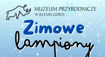 Zimowy lampionik - własnoręcznie wykonana pamiątka z Cieplic. Super oferta dla dzieci